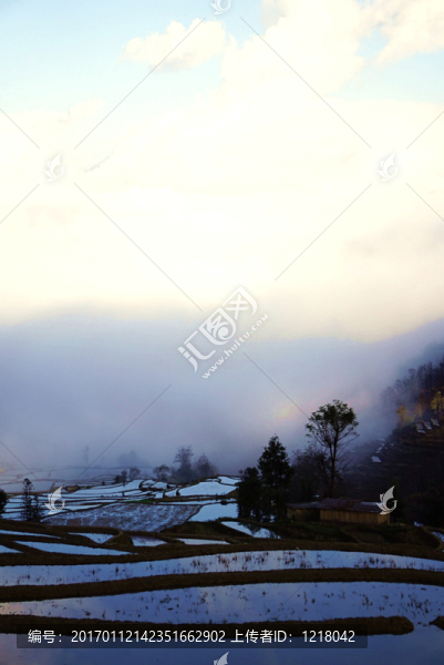 晨霧,梯田