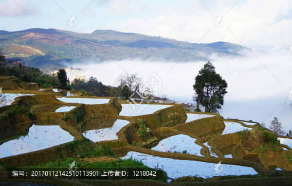 元陽(yáng)梯田