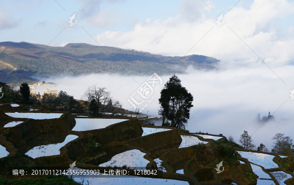 晨霧,梯田