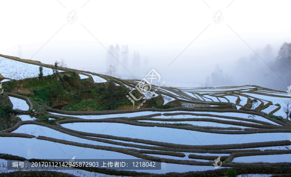 晨霧,梯田