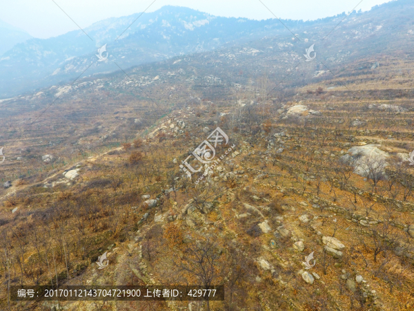 山坡,山地,山景