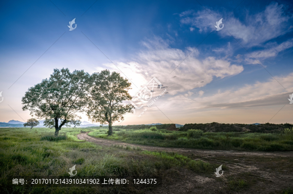 黃昏