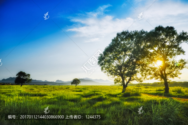 黃昏