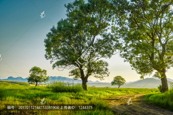黃昏