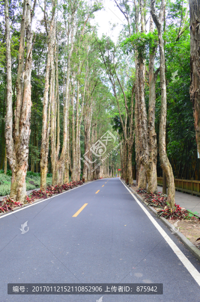 福州森林公園
