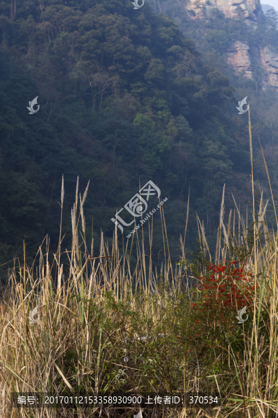 張家界,武陵源,著名景點,旅游
