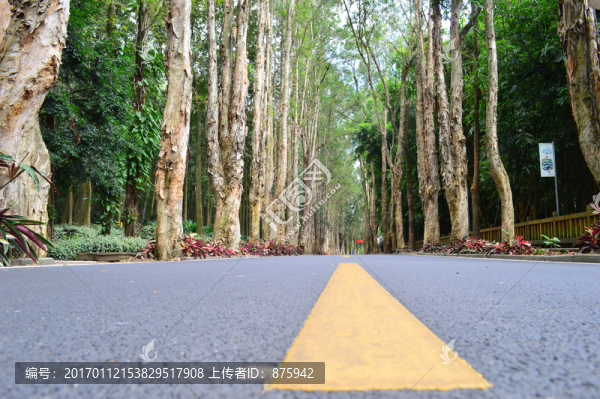 福州森林公園