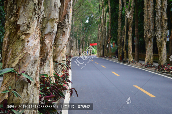 福州森林公園