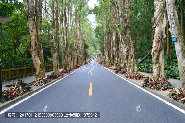 福州森林公園
