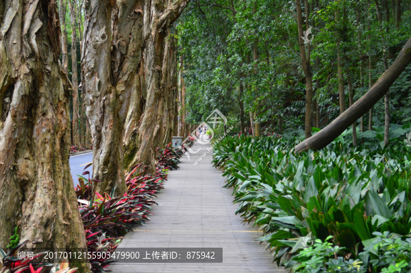 福州森林公園