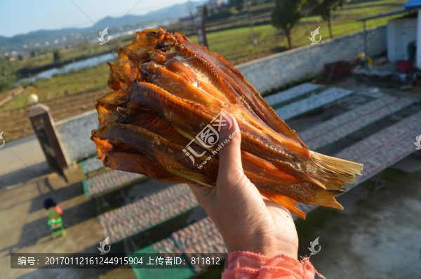 臘魚