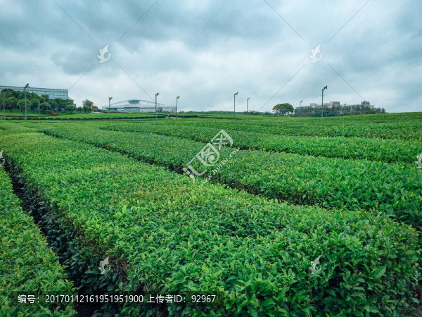韓國(guó)濟(jì)州島風(fēng)光