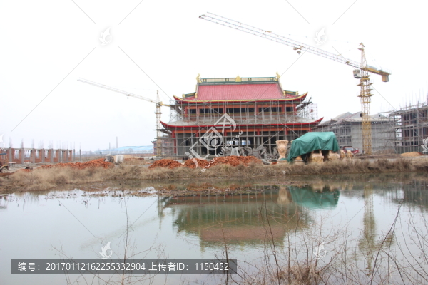 冬日飛鳥成為一景,（20）