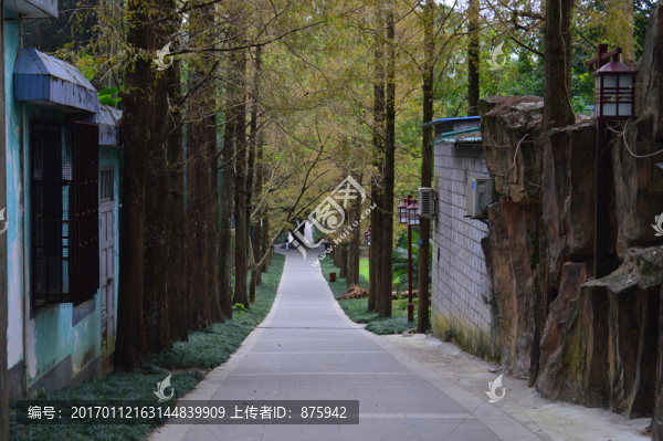 福州森林公園