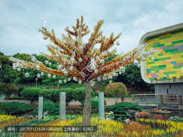 濟(jì)州島森林植物