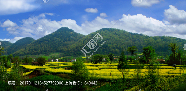 定軍山,油菜花海,諸葛亮,孔明