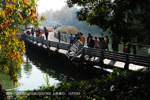 常州紅梅公園,橋