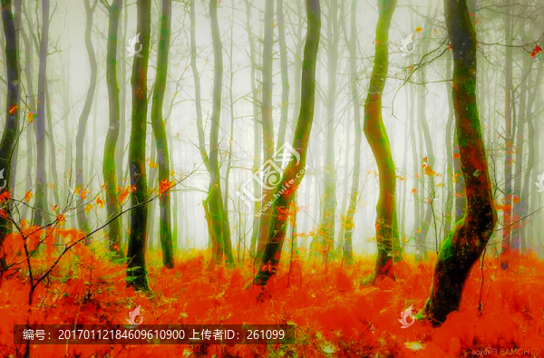 裝飾畫
