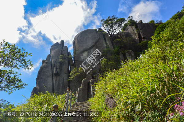 上山階梯