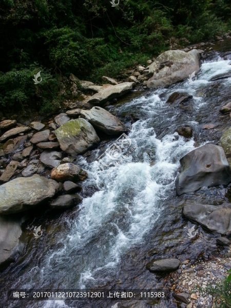 山中溪流