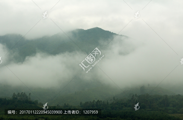 山中云霧