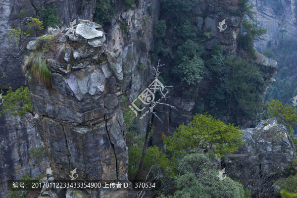 張家界,武陵源,著名景點,旅游