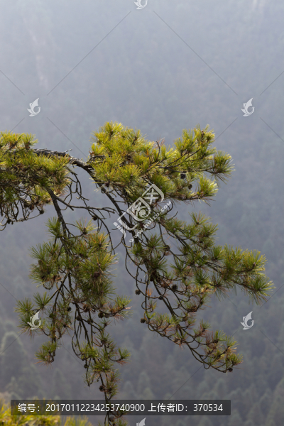 張家界,武陵源,著名景點(diǎn),旅游