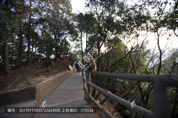張家界,武陵源,著名景點(diǎn),猴子