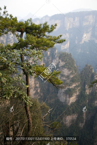 張家界,武陵源,著名景點,旅游