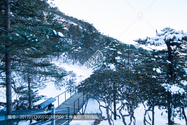 轎子雪山林海雪原風(fēng)光