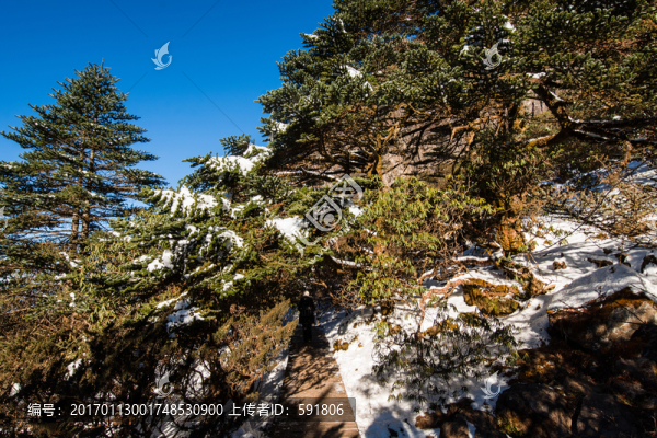 轎子雪山風光