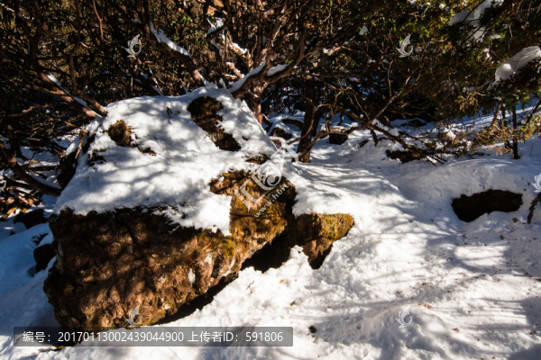 轎子雪山風光
