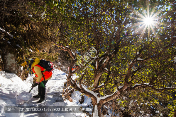 轎子雪山清道工