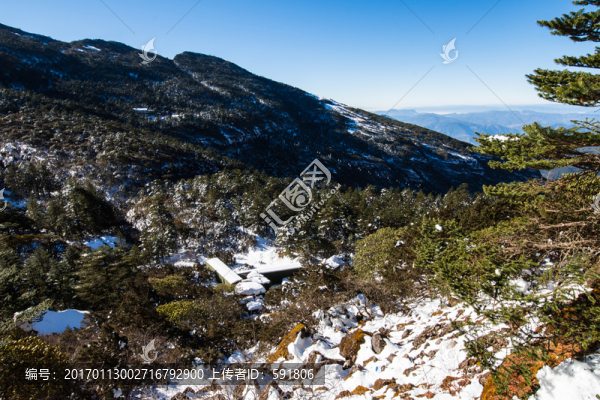 轎子雪山營地風光