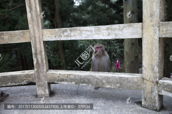 張家界,武陵源,著名景點(diǎn),旅游