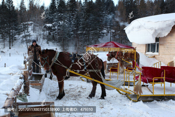 雪鄉(xiāng),雪景,馬