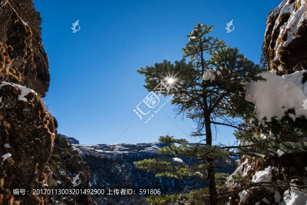 轎子雪山一線天蒼松迎客