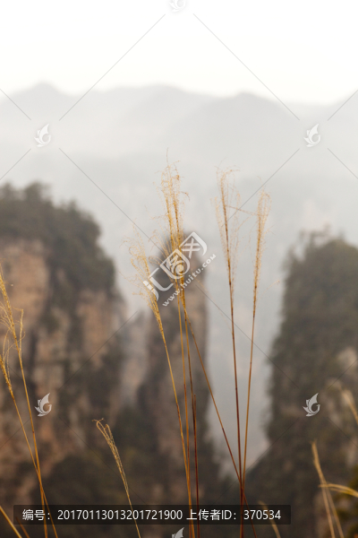 張家界,武陵源,著名景點(diǎn),旅游