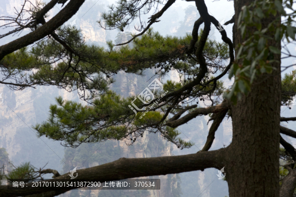 張家界,武陵源,著名景點(diǎn),旅游