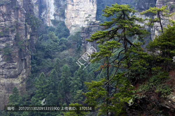 張家界,武陵源,著名景點(diǎn),旅游