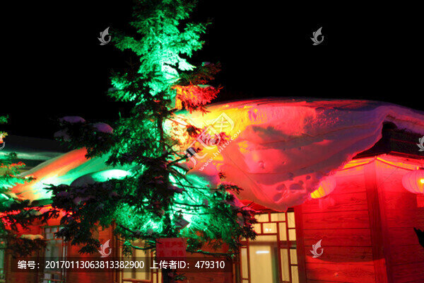 雪鄉(xiāng),夜景,綠樹