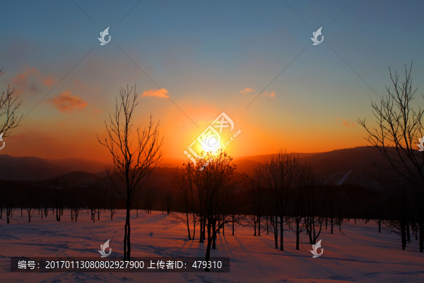 林海雪原,雪鄉(xiāng),日出