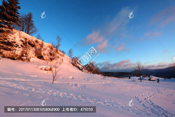 林海雪原,雪鄉(xiāng),樹(shù)木,白雪,冬