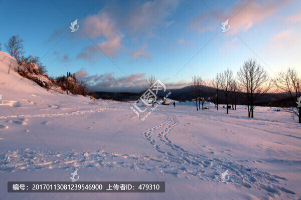 林海雪原,雪鄉(xiāng),樹木