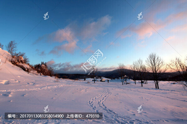 林海雪原,雪鄉(xiāng),樹木,白雪,冬