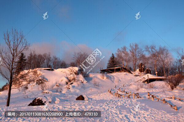 林海雪原,雪鄉(xiāng),樹木,白雪,冬