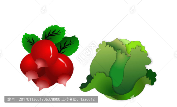 生菜和蘿卜