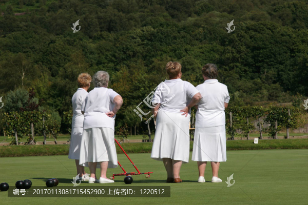 女士們誰碗