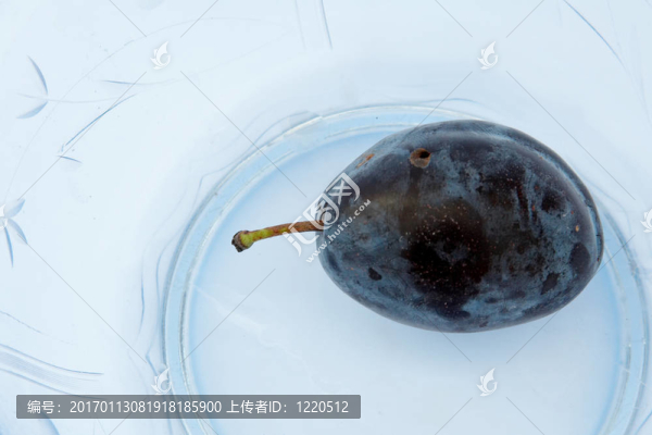 李子