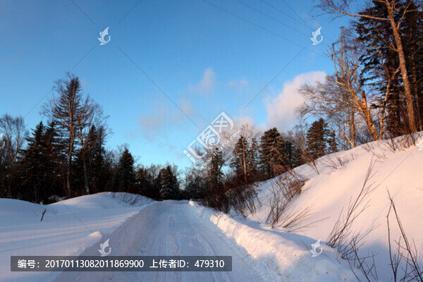 林海雪原,雪鄉(xiāng),樹木